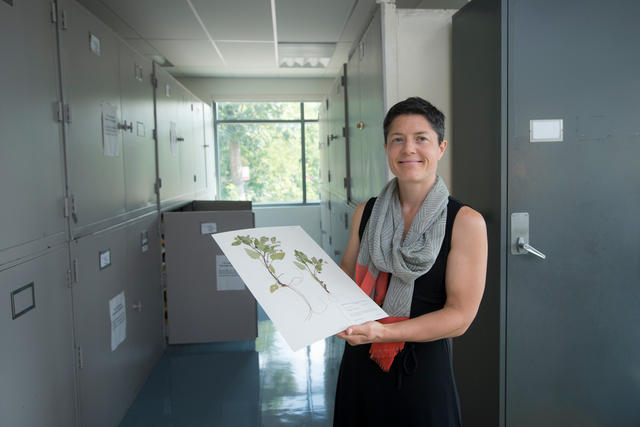 Andrea Weeks holding floral samples in the Herbarium