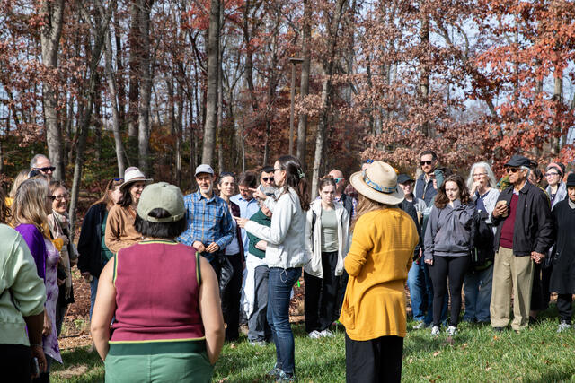 Foragers Forest Opening