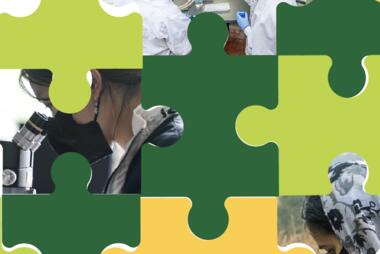 Puzzle pieces with images of Mason women scientists