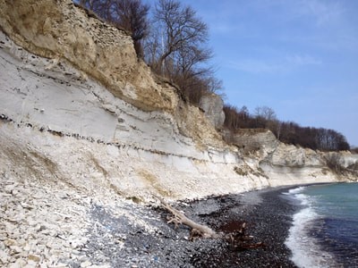 Cretaceous-Paleoene Transition exposed in coastal cliffs