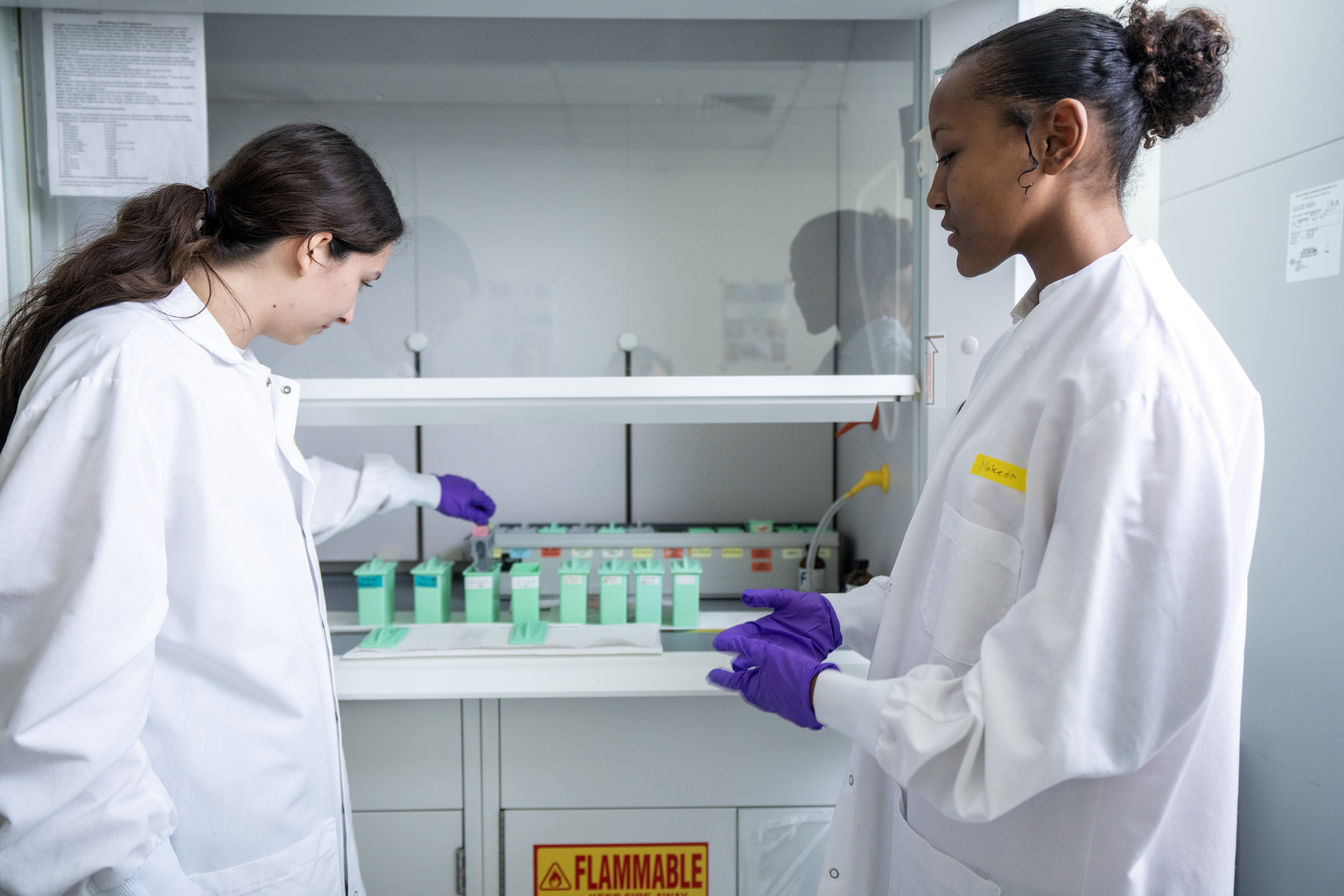 ASSIP Interns working on a research project in the lab.