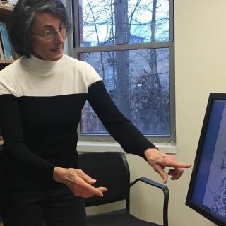 Dr. Blaisten-Barojas