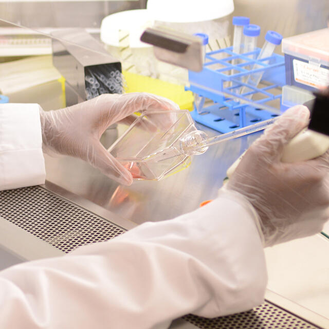 Neuroscience Lab