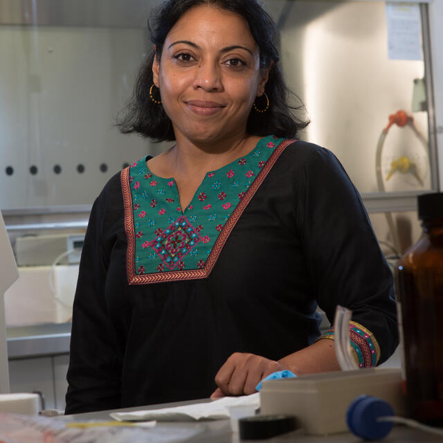 Aarthi Narayanan