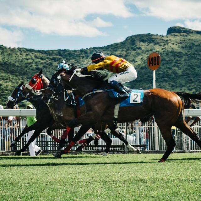 Horse race
