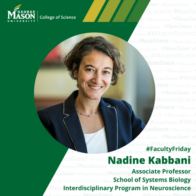Nadine Kabbani, SSB, Neuro, #FacultyFriday