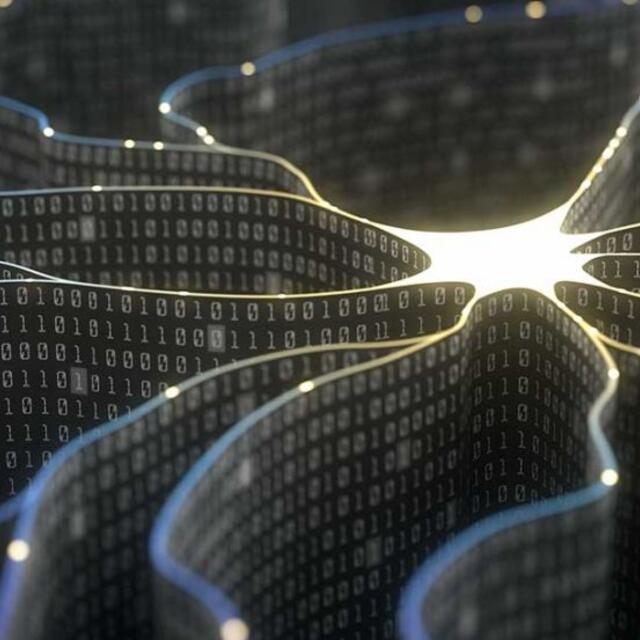 Neuroscience: neuroinformatics