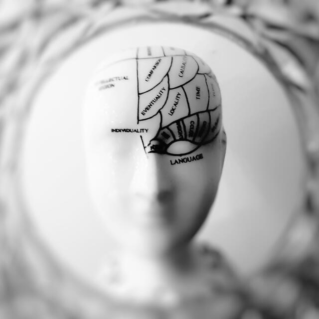 Neuroscience: learning and memory