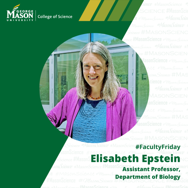Elisabeth Epstein, Biology, Faculty Friday