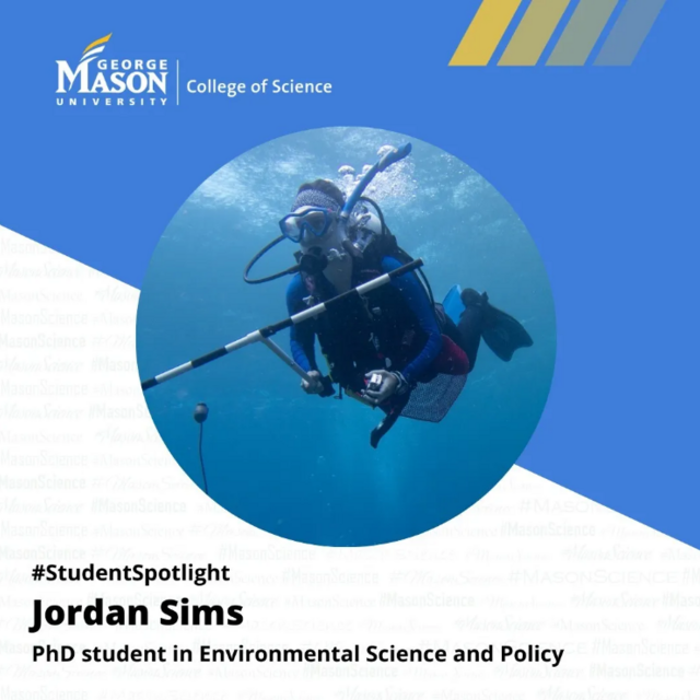 Jordan Sims