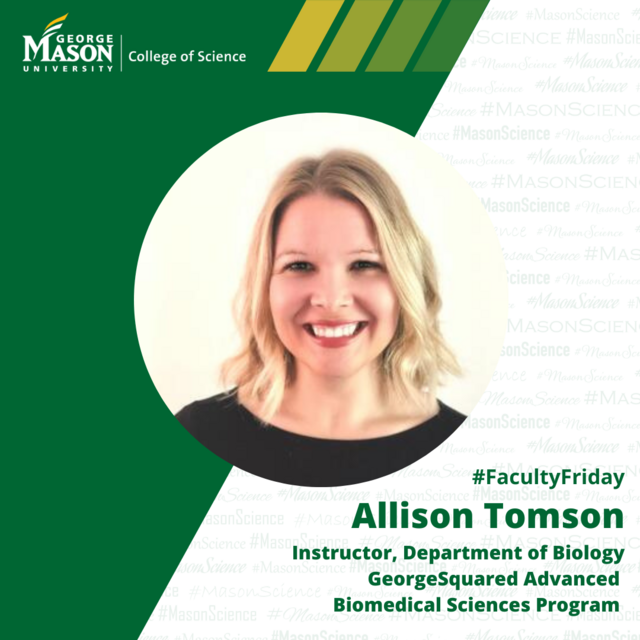 Allison Tomson, Georgesquared, FF