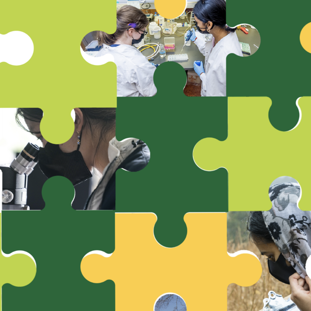 Puzzle pieces with images of Mason women scientists
