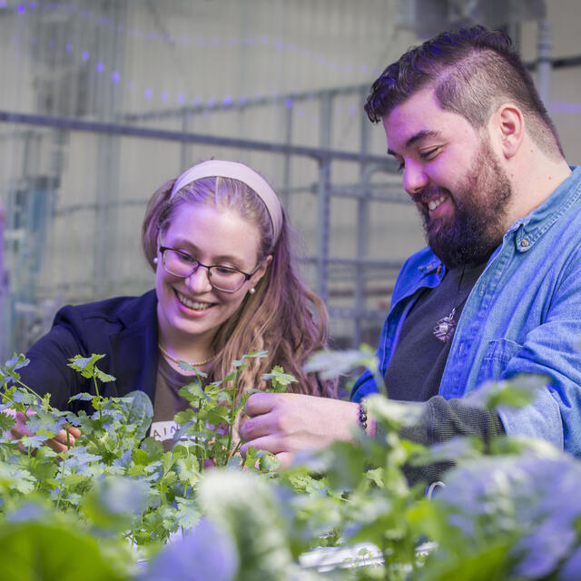 students in greenhouse