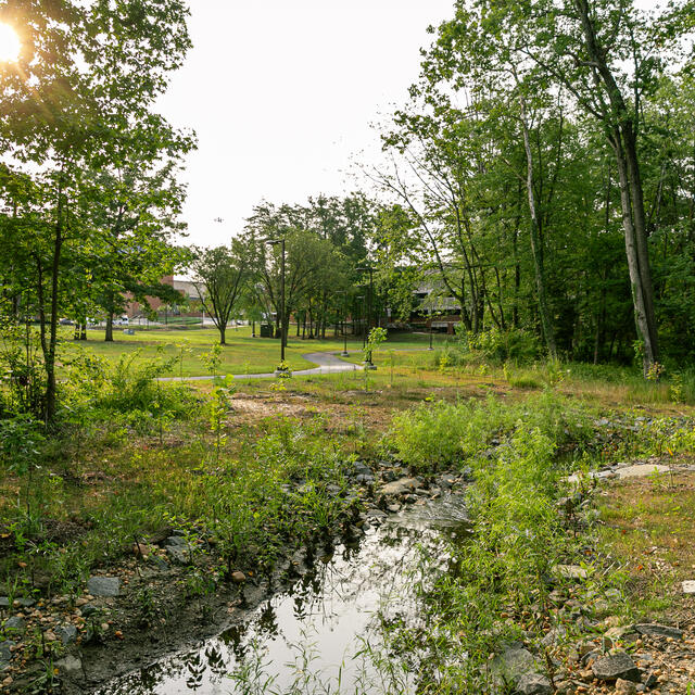 stream restoration on campus