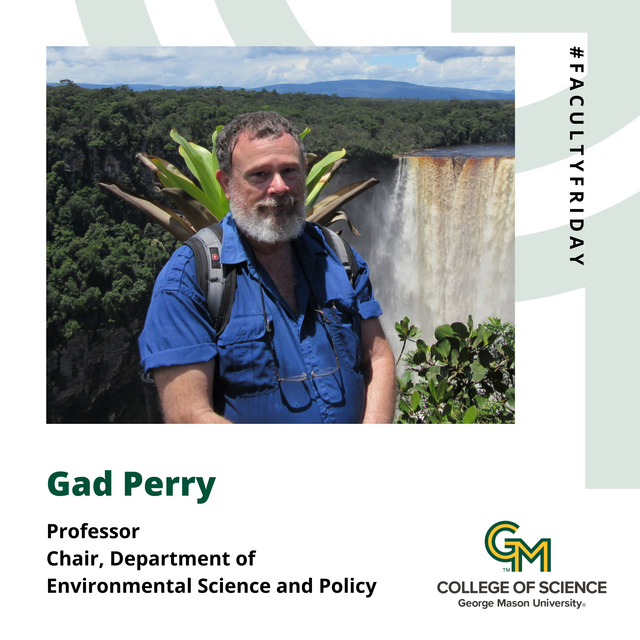 Gad Perry