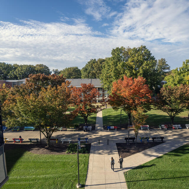 Image of trees on campus