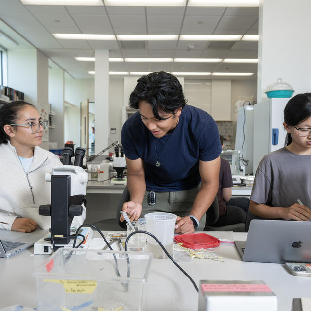 ASSIP students in lab