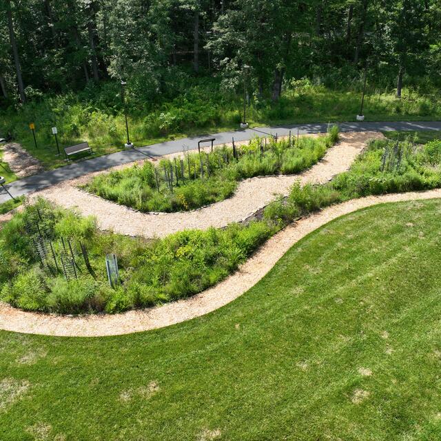 Aerial view of the Foragers Forest