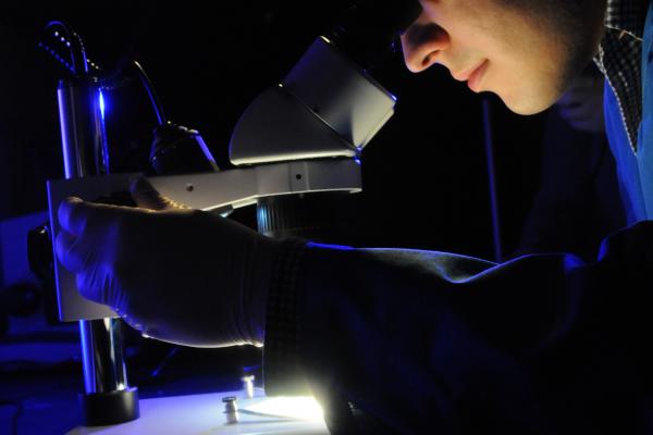 Student looks through microscope in forensic science lab