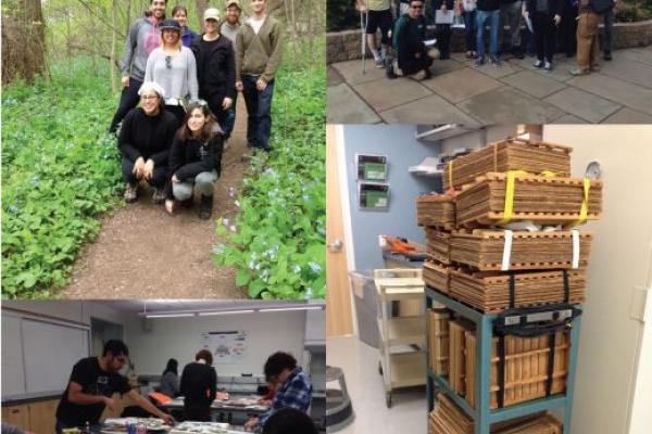 Clockwise from top left: 2015 BIOL344 class field trip to Turkey Run Park; 2017 BIOL344 class field trip to the US Botanical Garden; herbarium presses for 2015 BIOL345 class project; students from 2015 BIOL345 preparing their herbarium specimens. Credit: Photos by Andrea Weeks.