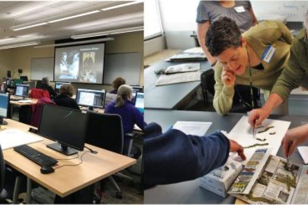 Left: Workshop for the Virginia Master Naturalists held at the Smithsonian-Mason Campus in Front Royal, 2017. Right: Workshop for the Virginia Native Plant Society held at the Ted R. Bradley Herbarium, 2016. Credits: Left – photo by Andrea Weeks; Right – photo by Karoline Oldham.