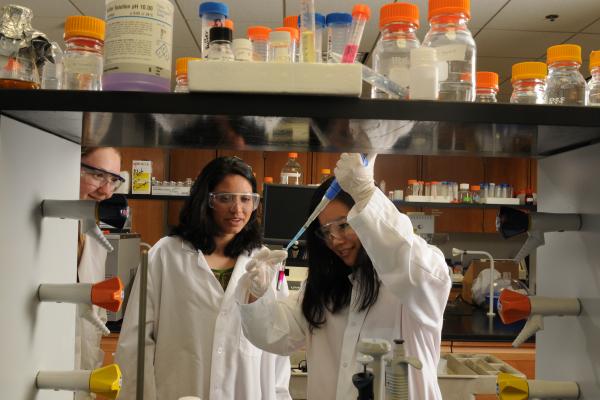 Students in a lab