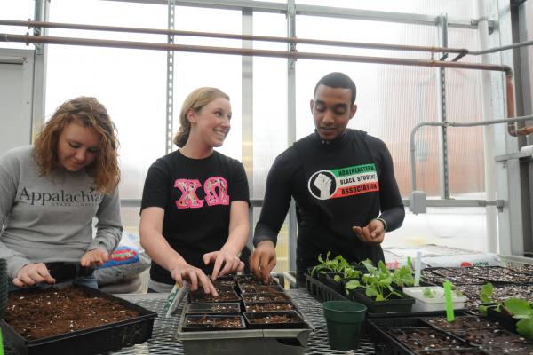 StudentOrg