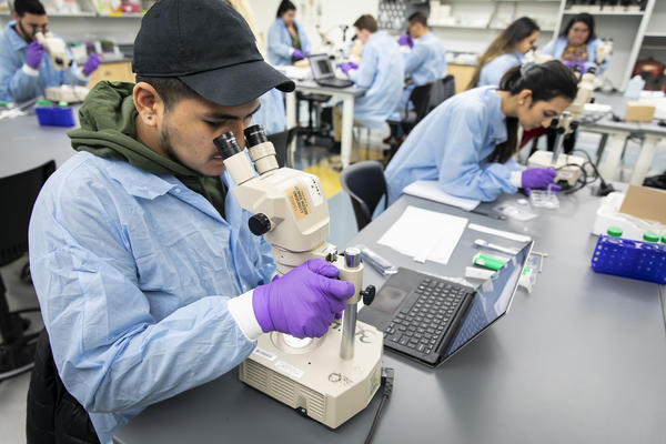 Neuroscience students looking through microscopes