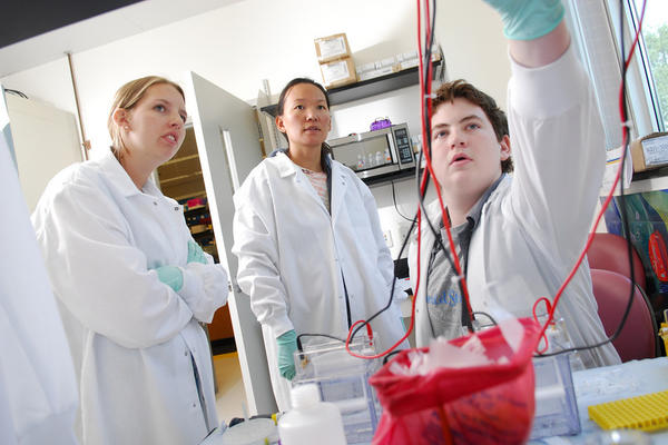 Biology, lab, students, professor, medical, research