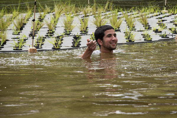 The Rain Project Ecological Restoration of the Mason pond