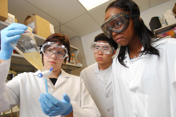 Photo of ASSIP students
