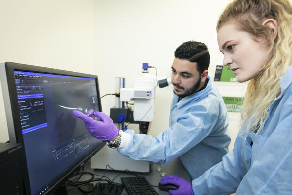 Neuroscience Lab