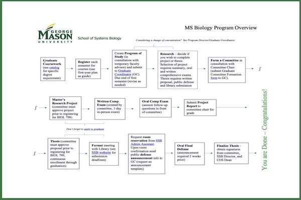 MSBIOL6