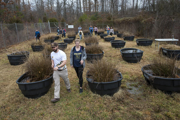 Ahn Wetland EVPP/BIOL 355