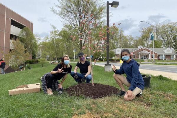 Students also planted and mulched saplings as a part of the ongoing Rappahannock Parking Deck Reforestation Project. Photo by Sarah D'Alexander