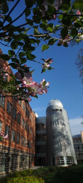 Observatory Tower