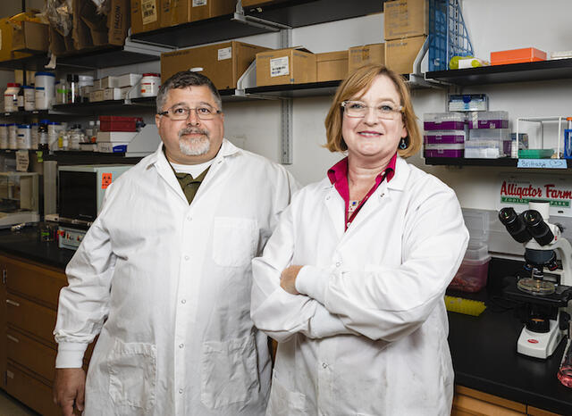Mason researchers Barney Bishop and Monique van Hoek in the bacteriology laboratory at Mason's Science and Technology Campus. Photo by Lathan Gourmas.