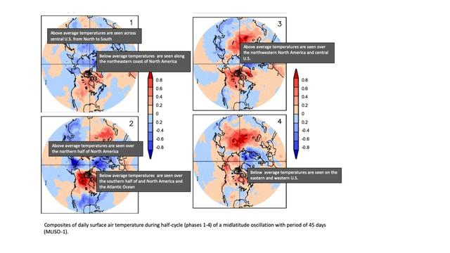 Stan and Krishnamurthy figure: composites of daily surface air temperature.