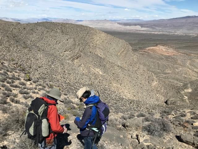 Scientists study carbonate rocks, Nevada