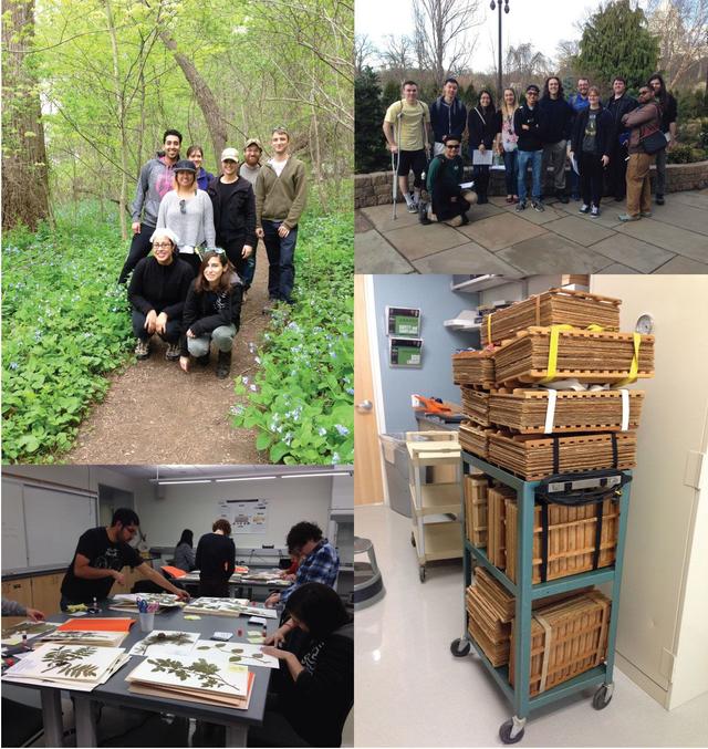 Clockwise from top left: 2015 BIOL344 class field trip to Turkey Run Park; 2017 BIOL344 class field trip to the US Botanical Garden; herbarium presses for 2015 BIOL345 class project; students from 2015 BIOL345 preparing their herbarium specimens