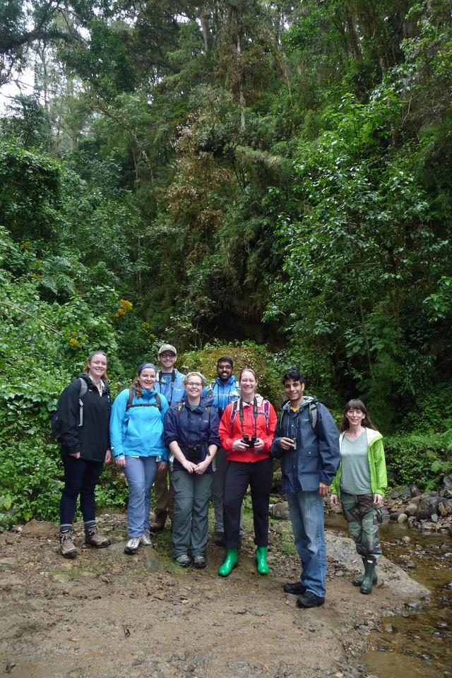 The group in the Cerro de la Muerte area. Pictured left to right: Megan Barlow, Lynn Bonomo, Jonathan Clark, Lauren Brown, Nick Sharma, Marieke Kester (TA), Vin Singh, Dr. Rebecca Forkner.