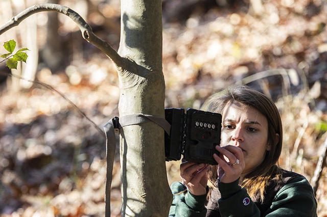 Senior Jamie Fetherolf programs a camera trap&nbsp;as part of her research project looking at wildlife in Washington D.C. Photo by Lathan Goumas/Strategic Communications