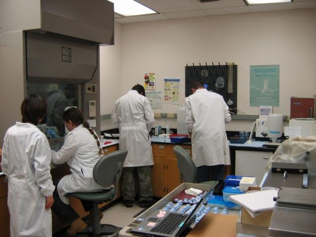 People working in histology lab