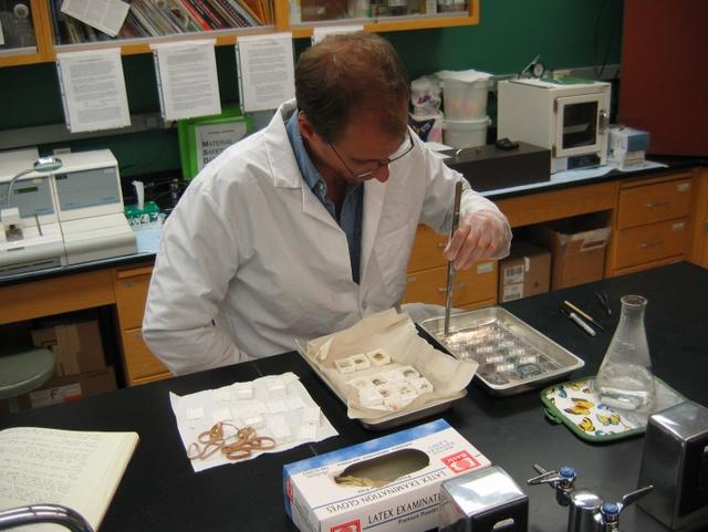 Person working in histology lab