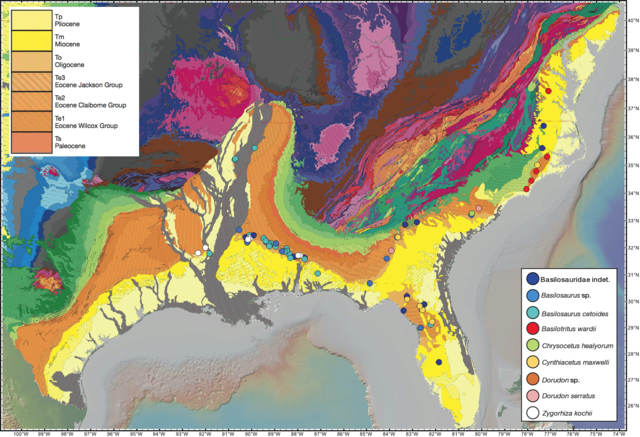 Southeastern US fossil specimen map