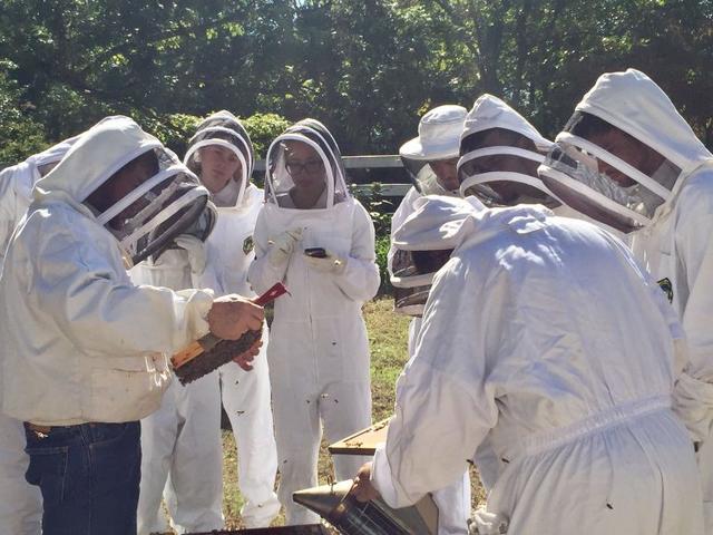 Environmental Science majors hooded up and excited to study bees up close.