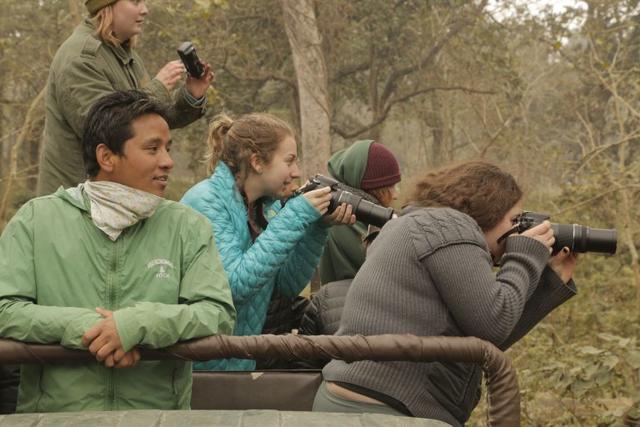 Photographing a troop of macaques (Chitwan National Park)