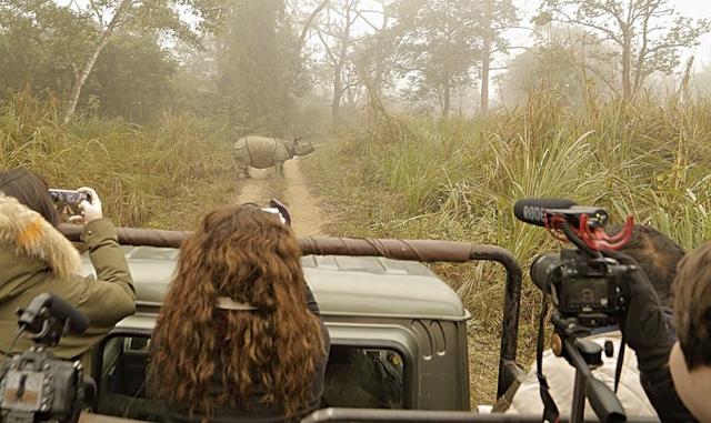 Students film their first Rhino (Chitwan National Park)