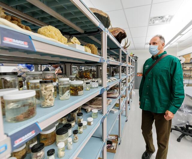 Dean Fernando Miralles Wilhelm reviews the biology samples in storage