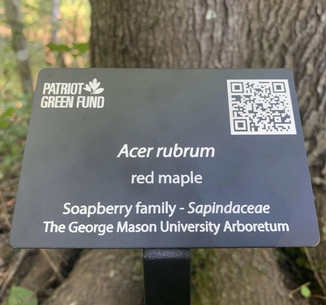 Example of the George Mason University Arboretum signage with QR code.